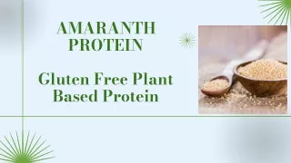 Gluten Free Plant Based Protein