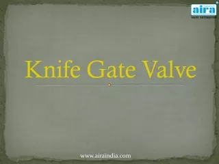 knife gate valve