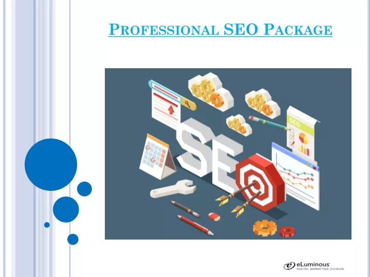 professional seo package