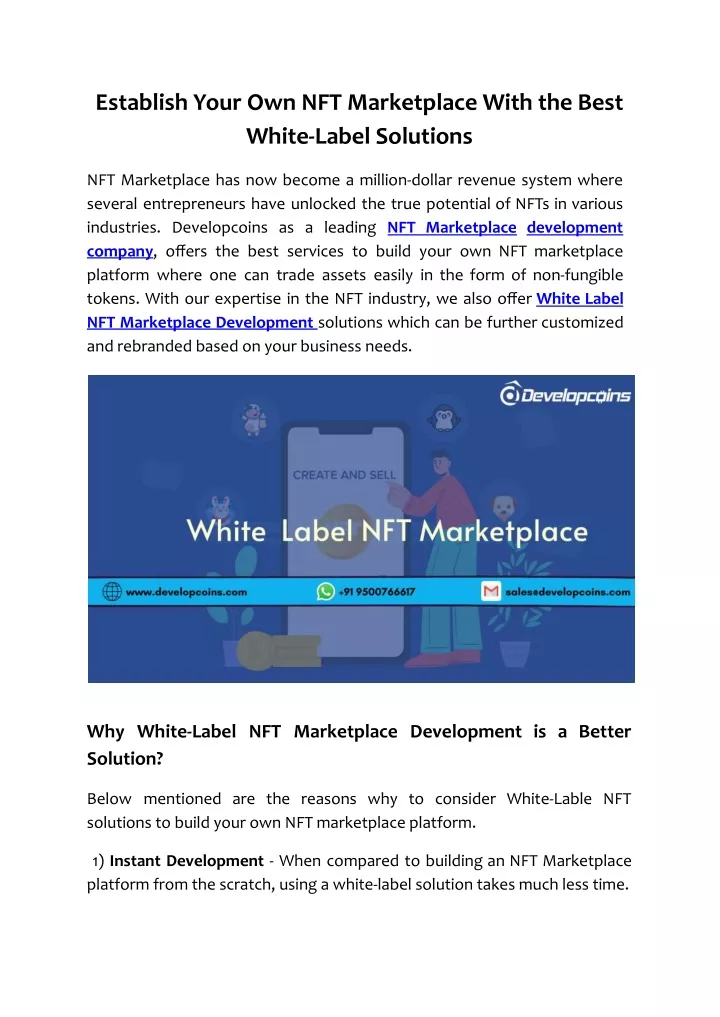 establish your own nft marketplace with the best