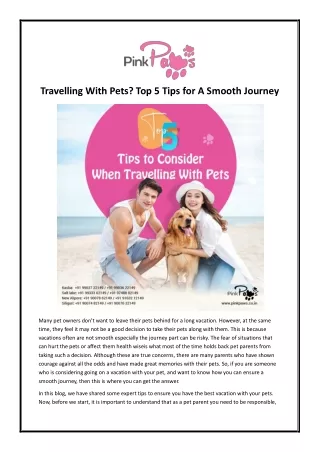 Travelling With Pets? Top 5 Tips for A Smooth Journey