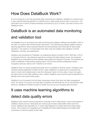 How Does DataBuck Work