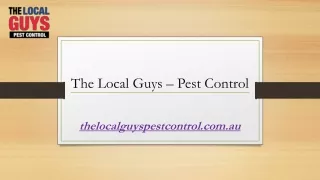 Pest Control Melbourne Eastern Suburbs | Thelocalguyspestcontrol.com.au