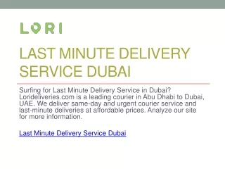 Last Minute Delivery Service Dubai | Lorideliveries.com