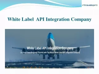 white label api integration company