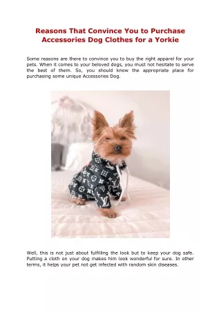 Reasons That Convince You to Purchase Accessories Dog Clothes for a Yorkie