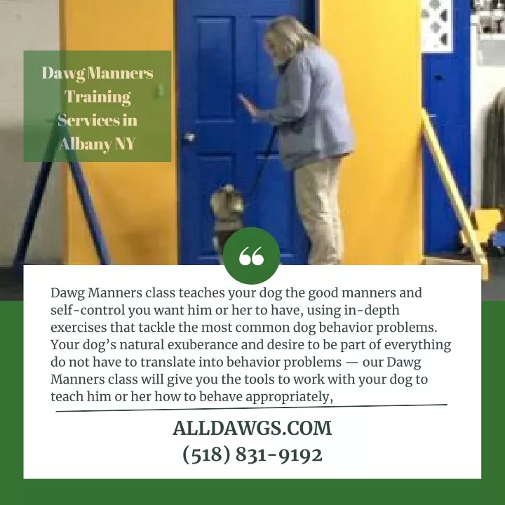 dawg manners training services in albany ny