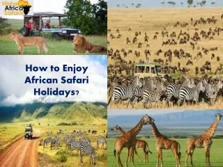 How to Enjoy African Safari Holidays?