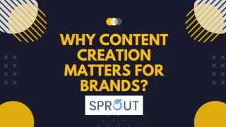 Why Content Creation Matters for Brands?