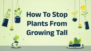 Stop Plants From Growing Tall