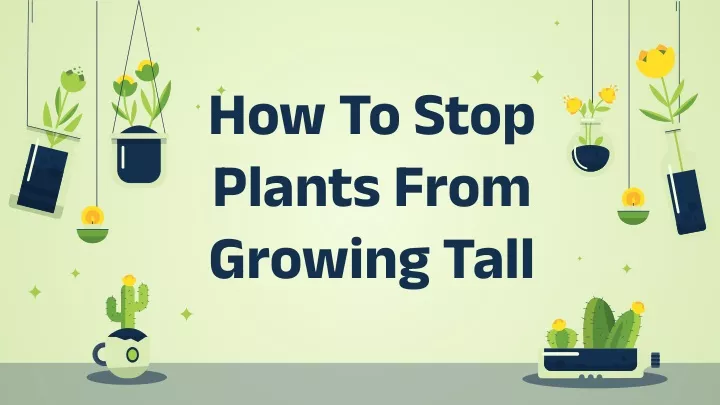 how to stop plants from growing tall