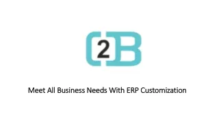 Meet All Business Needs With ERP Customization