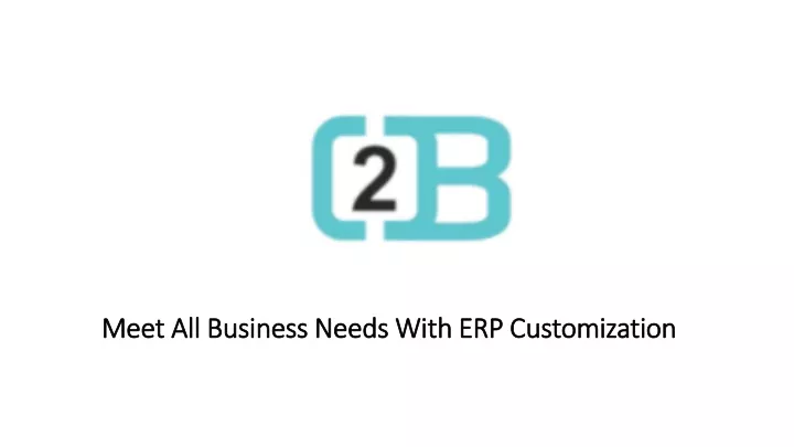 meet all business needs with erp customization