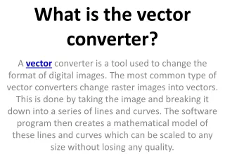 what is the vector converter