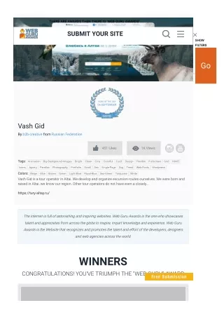 Web Guru Provide The Best Website Awards