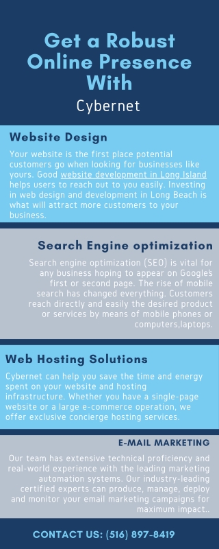 get a robust online presence with cybernet