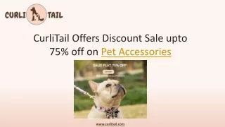 Online Pet Accessories Store - Free Engraving | CurliTail