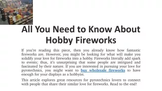 All You Need to Know About Hobby Fireworks
