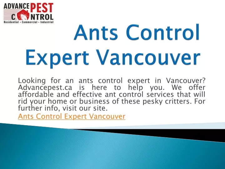 ants control expert vancouver