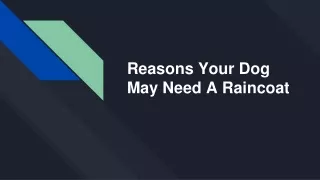 Reasons Your Dog May Need A Raincoat
