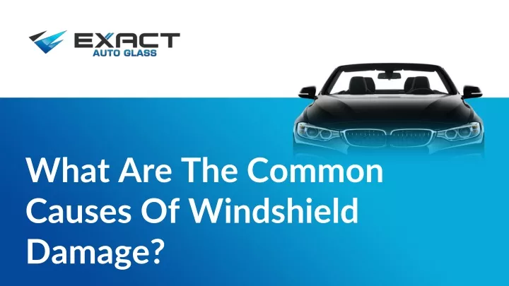 what are the common causes of windshield damage