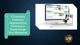 5 Cannabis Customer Segmentation Solutions to Supercharge Your Marketing