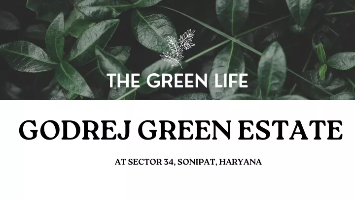 the green life