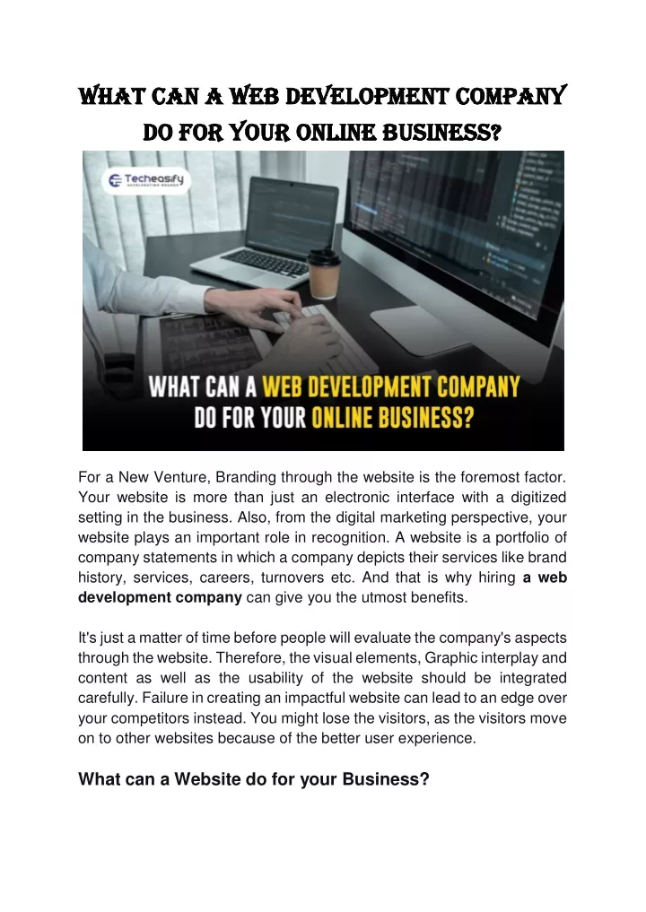 what can a web development company what