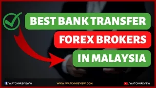 Best Bank Transfer Forex Brokers In Malaysia