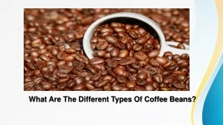 What Are The Different Types Of Coffee Beans?