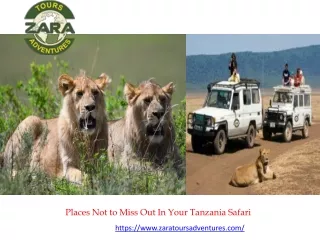 Places Not to Miss Out In Your Tanzania Safari