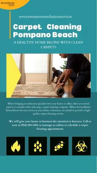 High Quality Carpet Cleaning in Pompano Beach