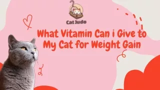 What Vitamin Can i Give to My Cat for Weight Gain