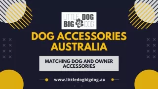 Buy Dog Accessories Australia Online from Little Dog Big Dog