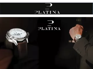 Swiss luxury watches