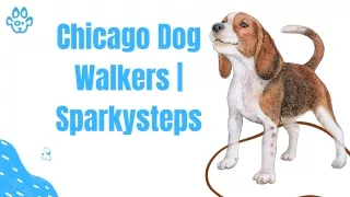 Chicago Dog Walkers | Sparkysteps