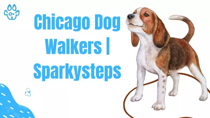 chicago dog walkers sparkysteps