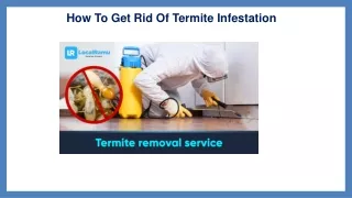 How To Get Rid Of Termite Infestation