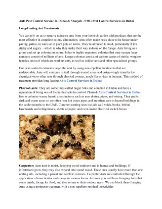Ants Pest Control Service In Dubai & Sharjah - SMG Pest Control Services in Dubai (2)