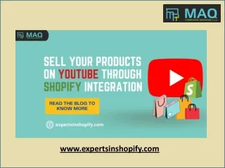 www expertsinshopify com