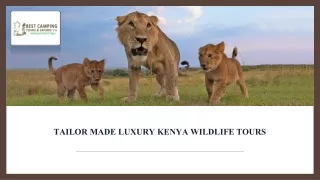 Luxury Kenya Wildlife Tours packages