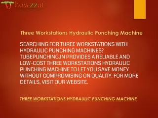Three Workstations Hydraulic Punching Machine  Tubepunching.in