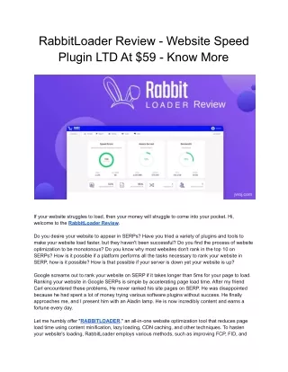 rabbitloader review website speed plugin