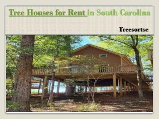 Tree Houses for Rent | South Carolina Tree House -  Treesortsc