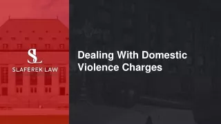 dealing with domestic violence charges