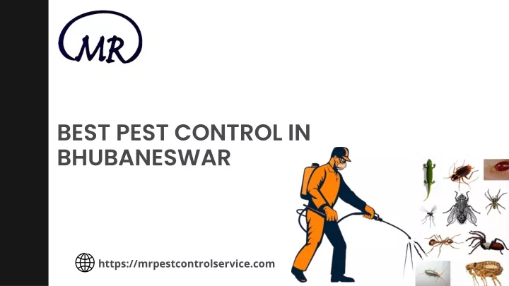 best pest control in bhubaneswar