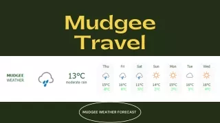 mudgee travel