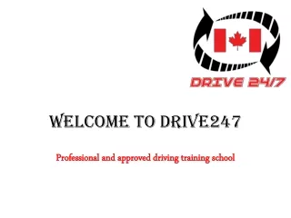 The Professional Driving  Training Schools