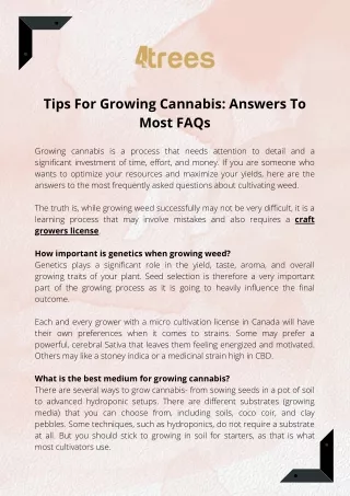 Tips For Growing Cannabis Answers To Most FAQs