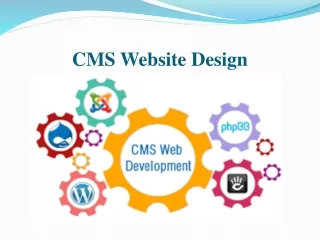 cms website design